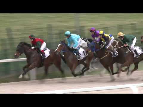 2021.04.18. 04. futam - GRÓF CSEKONICS GYULA EMLÉKVERSENY HENDIKEP (V.o.) (szintetikus pálya)