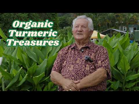 Farm Lovers Markets — Turmeric Farmer