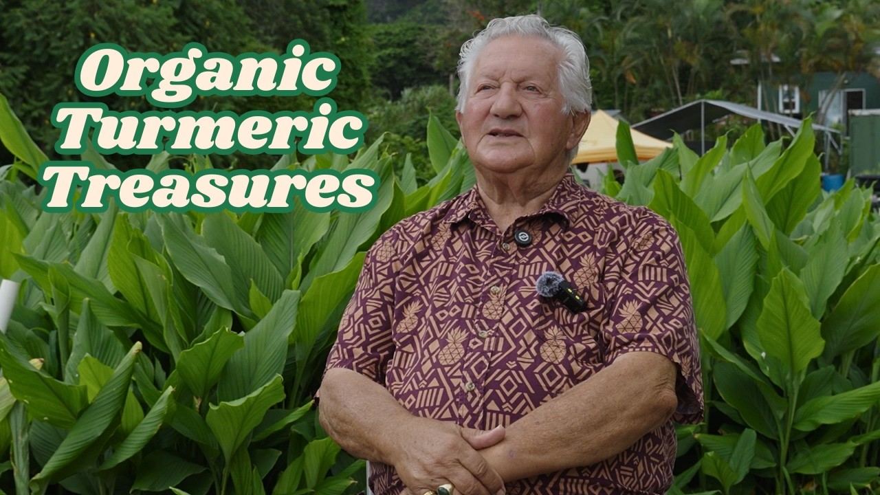 Turmeric Wisdom — Farm Lovers Markets