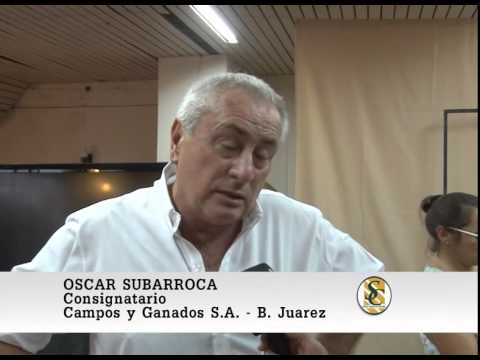Campos y Ganados S.A. - Benito Juarez - Nota Oscar Subarroca - 09/04/2015