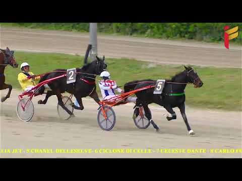 V Corsa del 12 novembre 2022 - 4 Anni - Metri 1600