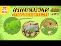 Creepy Crawlies Part 3 3 Junior Rangers And Hero S Animals Adventure Leo The Wildlife Ranger