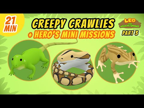 Witness21 Editor  2021 02 27