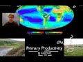 Ecosystems 