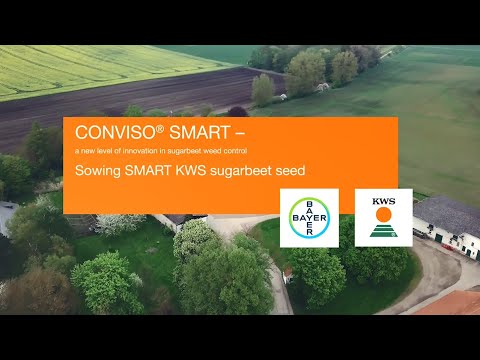 CONVISO® SMART - Sowing of SMART KWS Seeds