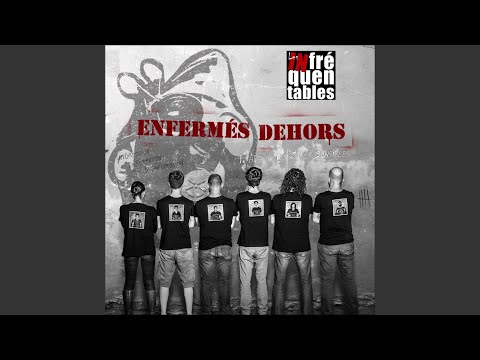 Les oiseaux de passage