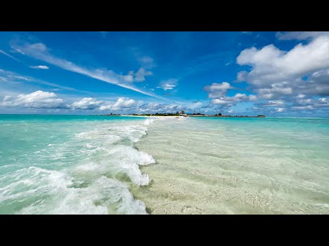 Ocean Waves Relaxation  I  Maldives  I  Soothing Waves Crashing on Beach