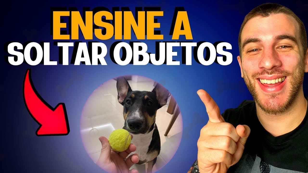 Como Ensinar ao Cachorro o Comando SOLTA