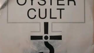 Blue Öyster Cult - Lonely Teardrops