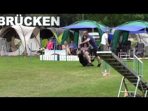 06.06.2015: Hundesportfreunde Saar - Uwe mit Viva, A1 large