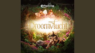 Droomvlucht - Wonderwoud