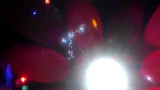 Ladyhawke - Cellophane (live at the Echoplex September 24, 2012)