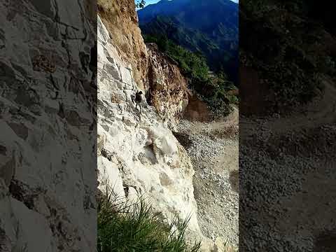 minas de caliza palermo huila #themuelas #automobile #volquetascolombia #lamariana
