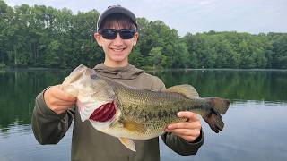 My Son's Biggest Bass Ever... and Baby Turtles!