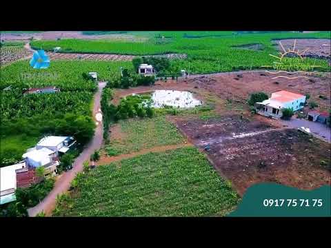 Đất Vườn Trảng Bom. Giá giai đoạn F0