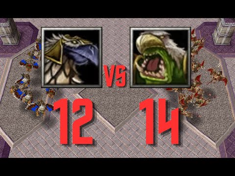 12 Gryphon Rider VS 14 Wind Rider - Unit battle Warcraft III