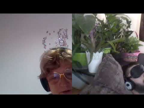 Hipnoza ezoterica306Ali Elazat ,mezahiel auriel si jocurile lor C si A Moraru