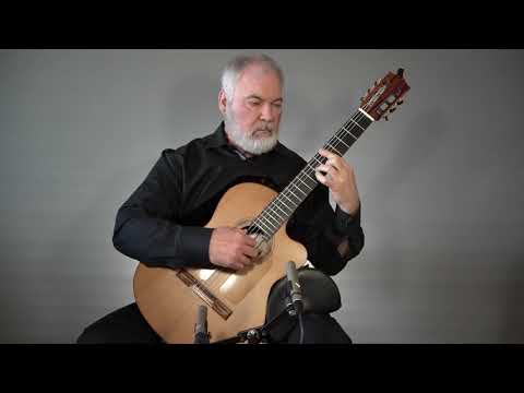 Richard Prenkert Cutaway Nylon String Guitar 2015 Natural image 10