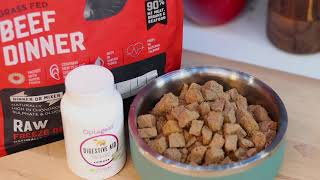 Pet Food Transition / Pet Food Express