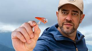 Next Level CampingGear You Haven’t Seen