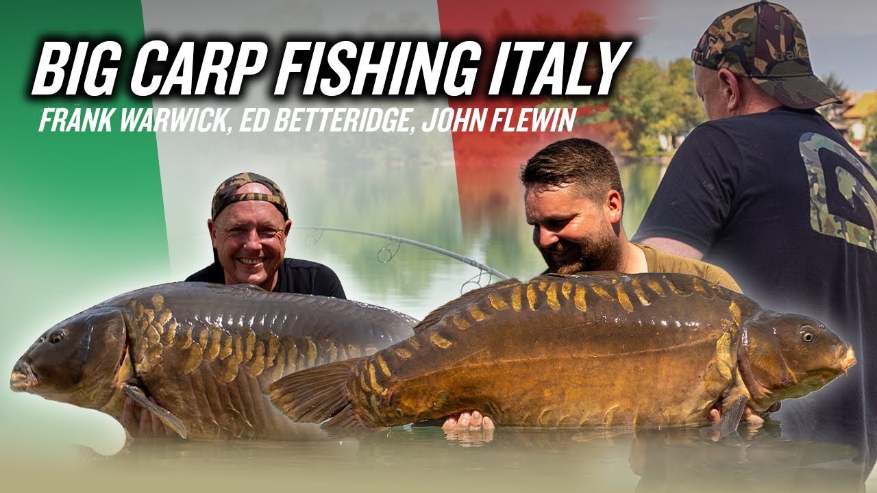 Carp Fishing for Continental Giants | Phenomenal Big Fish Haul