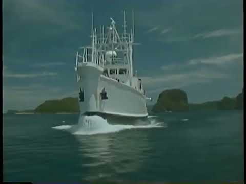 Jean-Michel Jarre - Palawan the last refuge