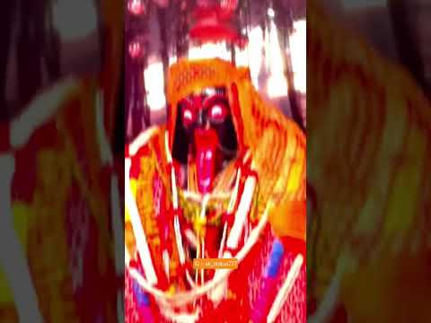 Ran Me Garaj Rahi Re Kalka Ran Me Garaj Rahi Re #matarani #matasherawali #sorts #maa #jaimaa #navrat