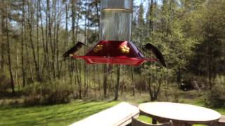 Dorothy - album teaser by Diagrams