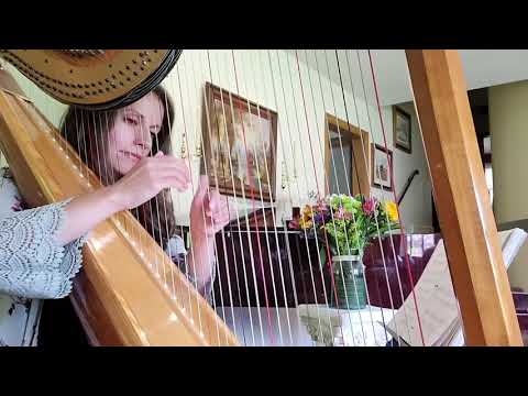 Promotional video thumbnail 1 for Dayton Harpist