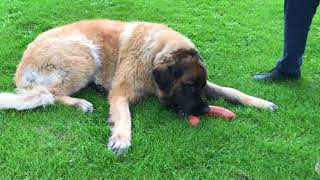 Tag 365 7.9.2017 EIN GESCHENKTES JAHR