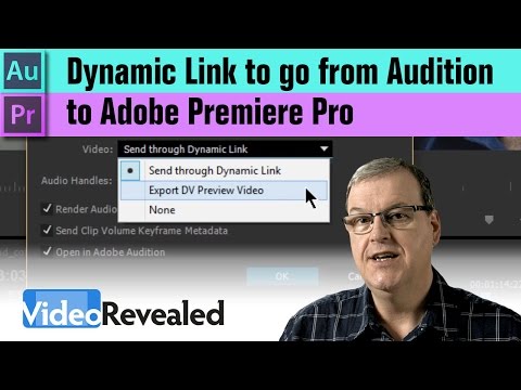 Organizing your media in Adobe Premiere Pro