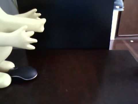 o sumiço do rato preto