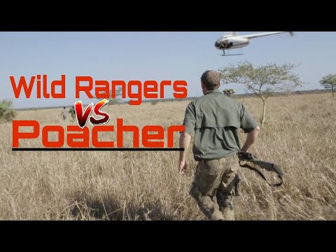 IVAN CARTER'S W.A.R S1 E8 Secret Trade | African animal documentary Hindi | African wildlife