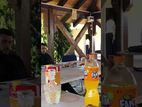 Vladimir Rumenic druženje u Piromanu kod Gorana Nenadovića