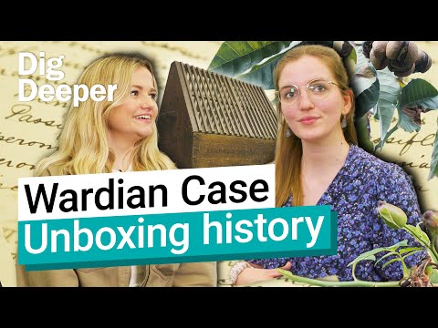 The Wardian Case: Unboxing the history of plant transportation | Dig Deeper Episode 9 | Kew