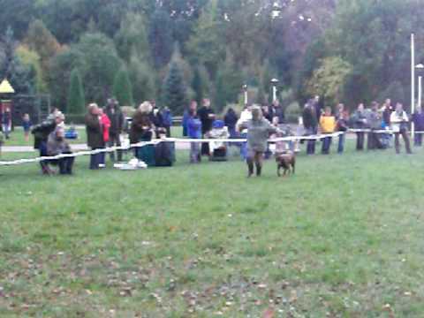 KWPR Zabrze 09' BOG VI