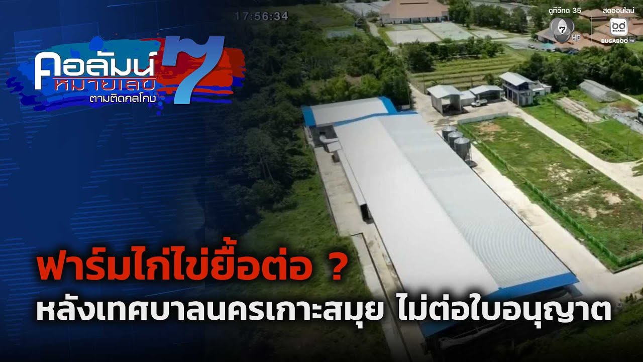 ฟาร์มไก่ไข่ยื้อต่อ ? หลังเทศบาลนครเกาะสมุย ไม่ต่อ?