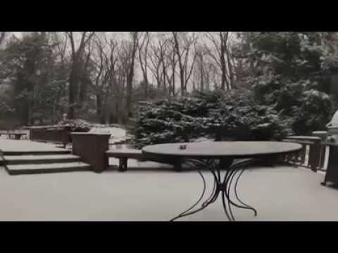 One Night In 15 seconds- watch how the snow falls and how the trees and nature goes down for sleep