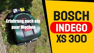 Bosch Indego XS 300 Rasenmäher Roboter nach 2 Monaten im Test. Bin ich zufrieden? Gibt es Probleme?