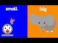 Learn Opposites | Big & Small | Simple learning video for babies, toddlers, kids