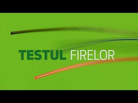 restabiliți vederea online verificare vedere la insulă