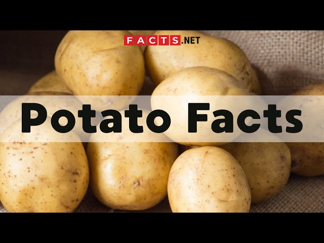11 Benefits of Red Potatoes That Will Surprise You - All About