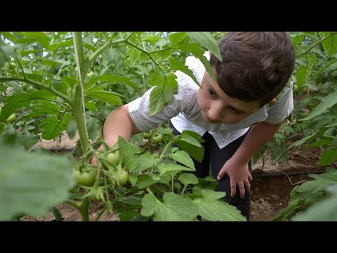 World Food Day Talks 2020: Principles for a long and nourishing life