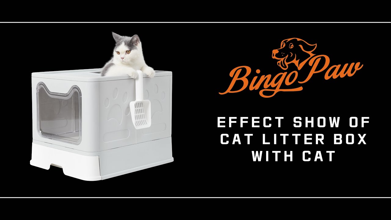XPET124 Installation Guide of Cat Litter Box | Cat Supply