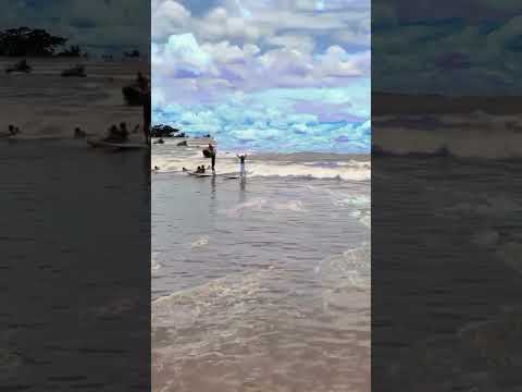 FESTIVAL DA POROROCA