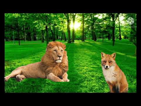 Lion and Fox, కపటబుద్ధి, kapatabuddhi ,# Panchatantra neethi kathalu, Animal stories