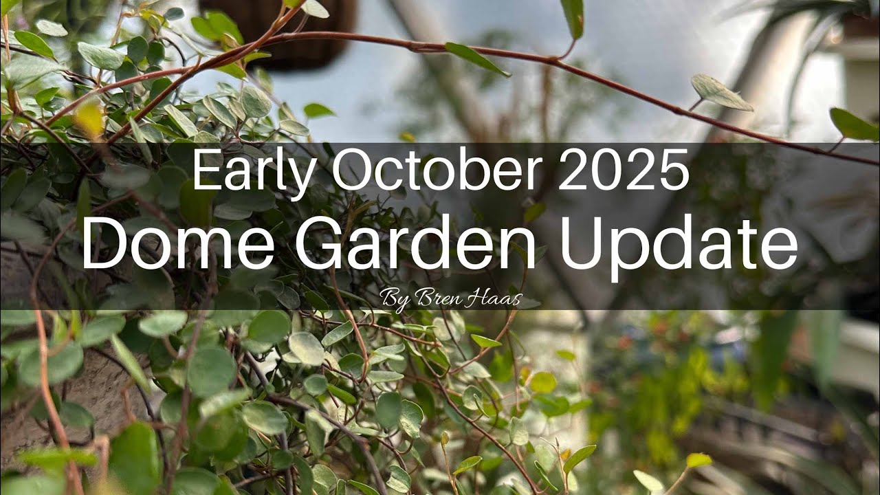Early October Dome Garden Update