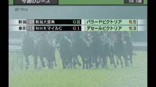 久しぶりにやりたくなったダビつく5【ダビつく5実況】