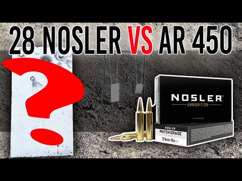 28 Nosler VS AR 450 Steel Plate