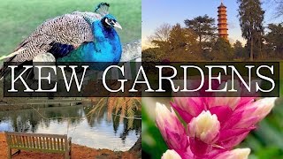 KEW GARDENS - Unique Day Trip from Central London